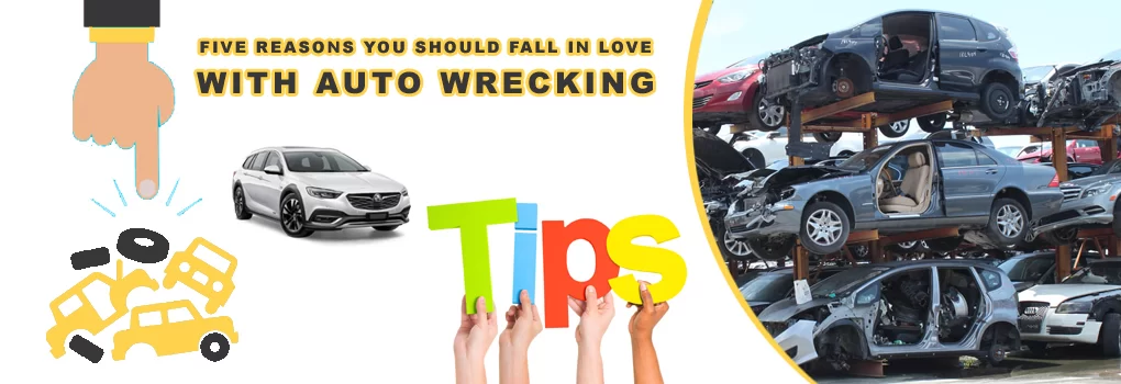 Fall In Love With Auto Wrecking